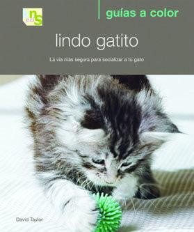 Vorderes Coverbild Lindo gatito : la vía más segura para socializar a tu gato