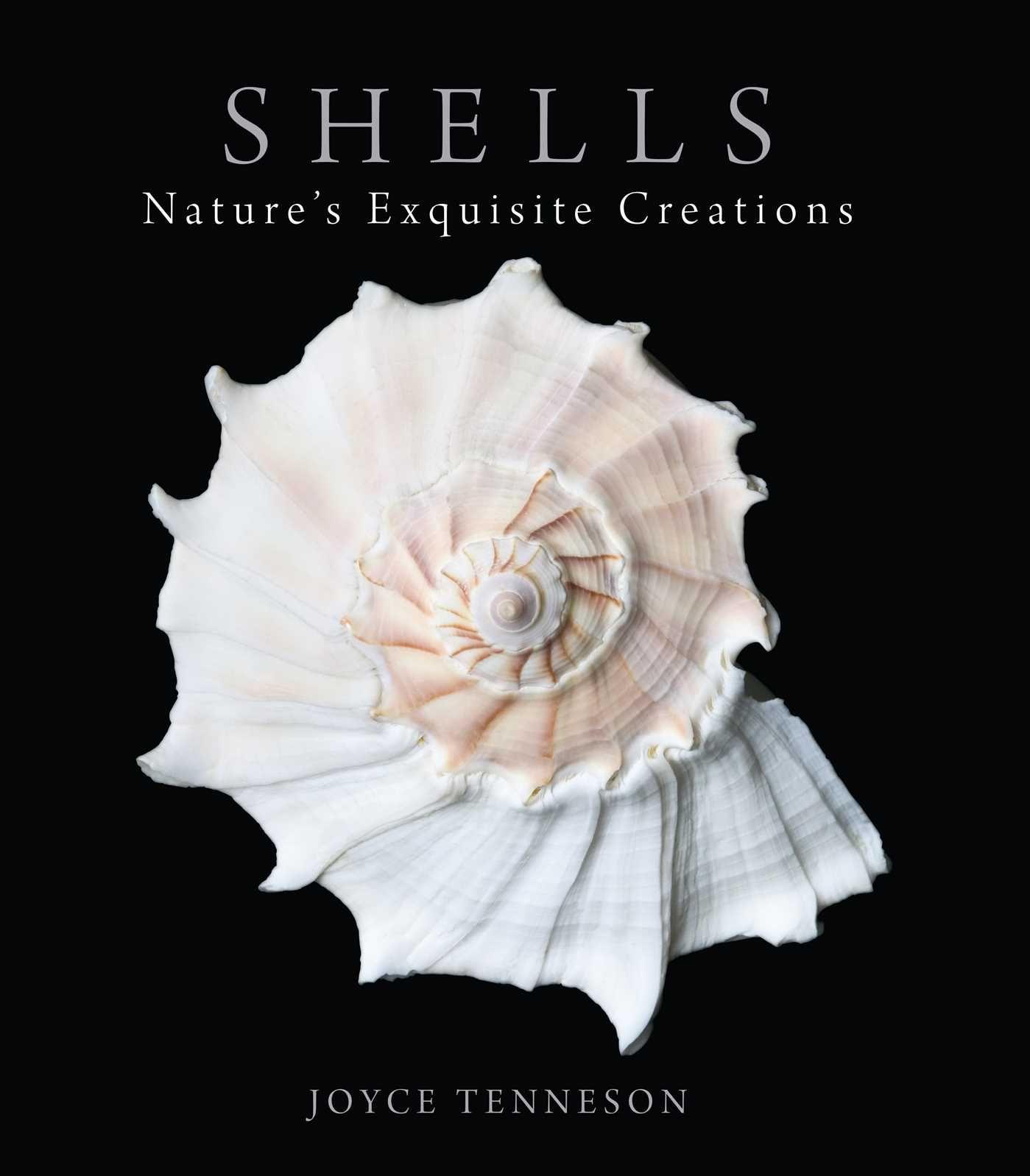 Vorderes Coverbild Shells