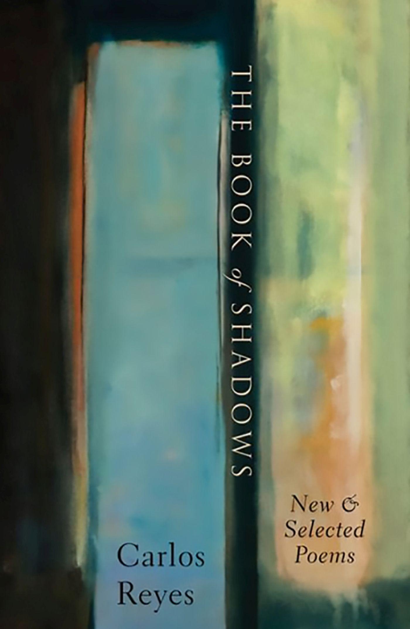 Vorderes Coverbild The Book of Shadows
