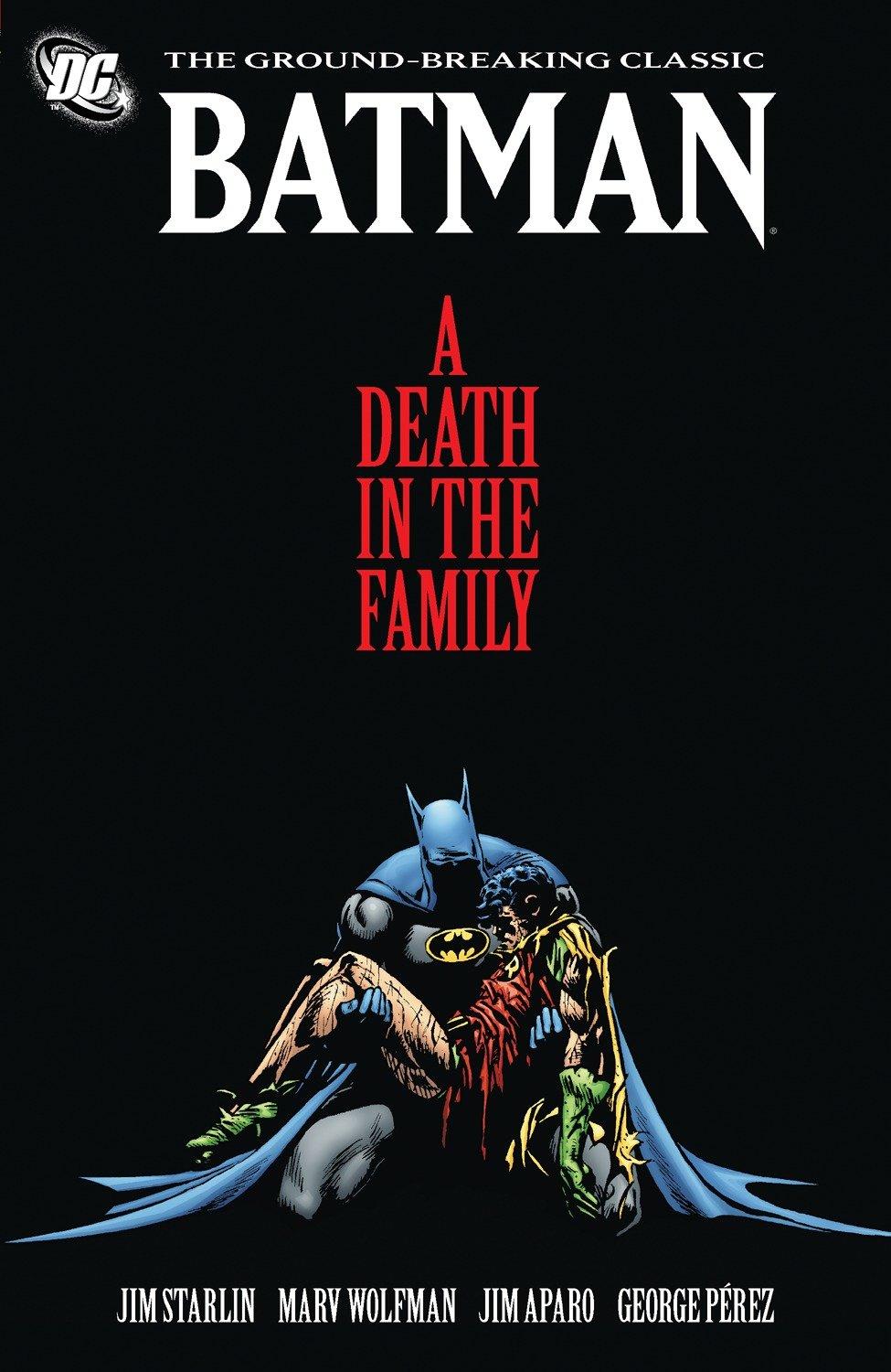 Vorderes Coverbild A Death in the Family