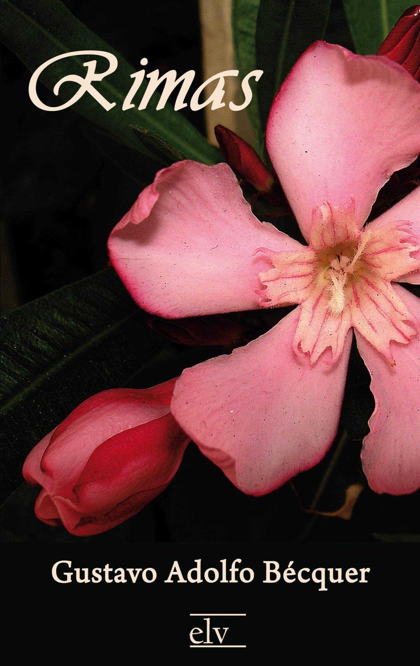 Vorderes Coverbild Rimas