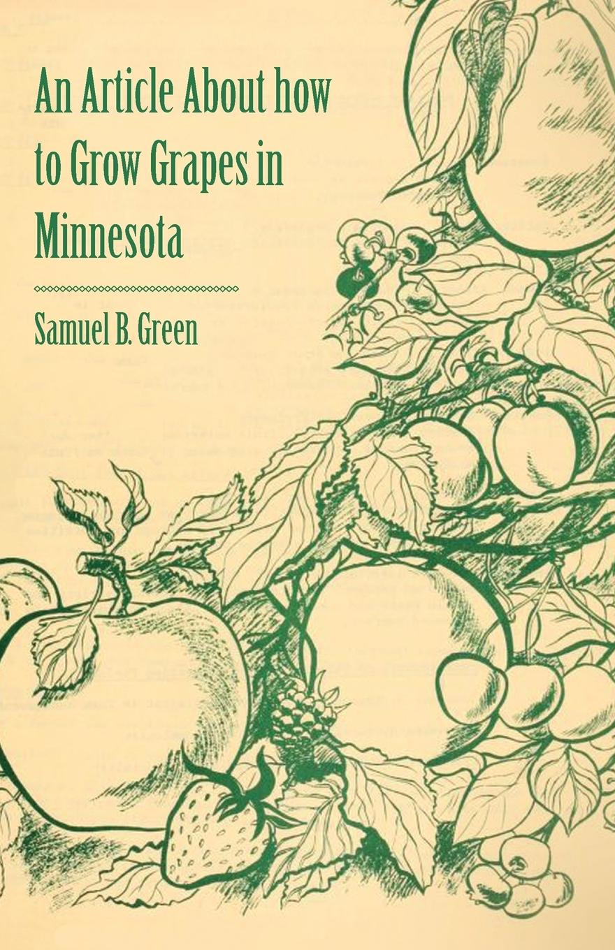 Vorderes Coverbild An Article about How to Grow Grapes in Minnesota