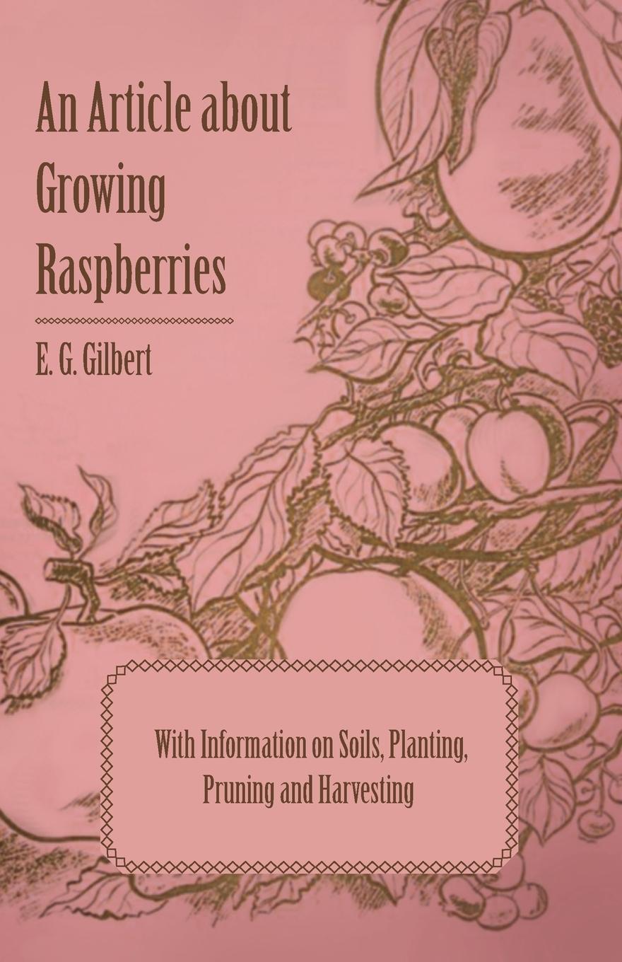Vorderes Coverbild An Article about Growing Raspberries with Information on Soils, Planting, Pruning and Harvesting