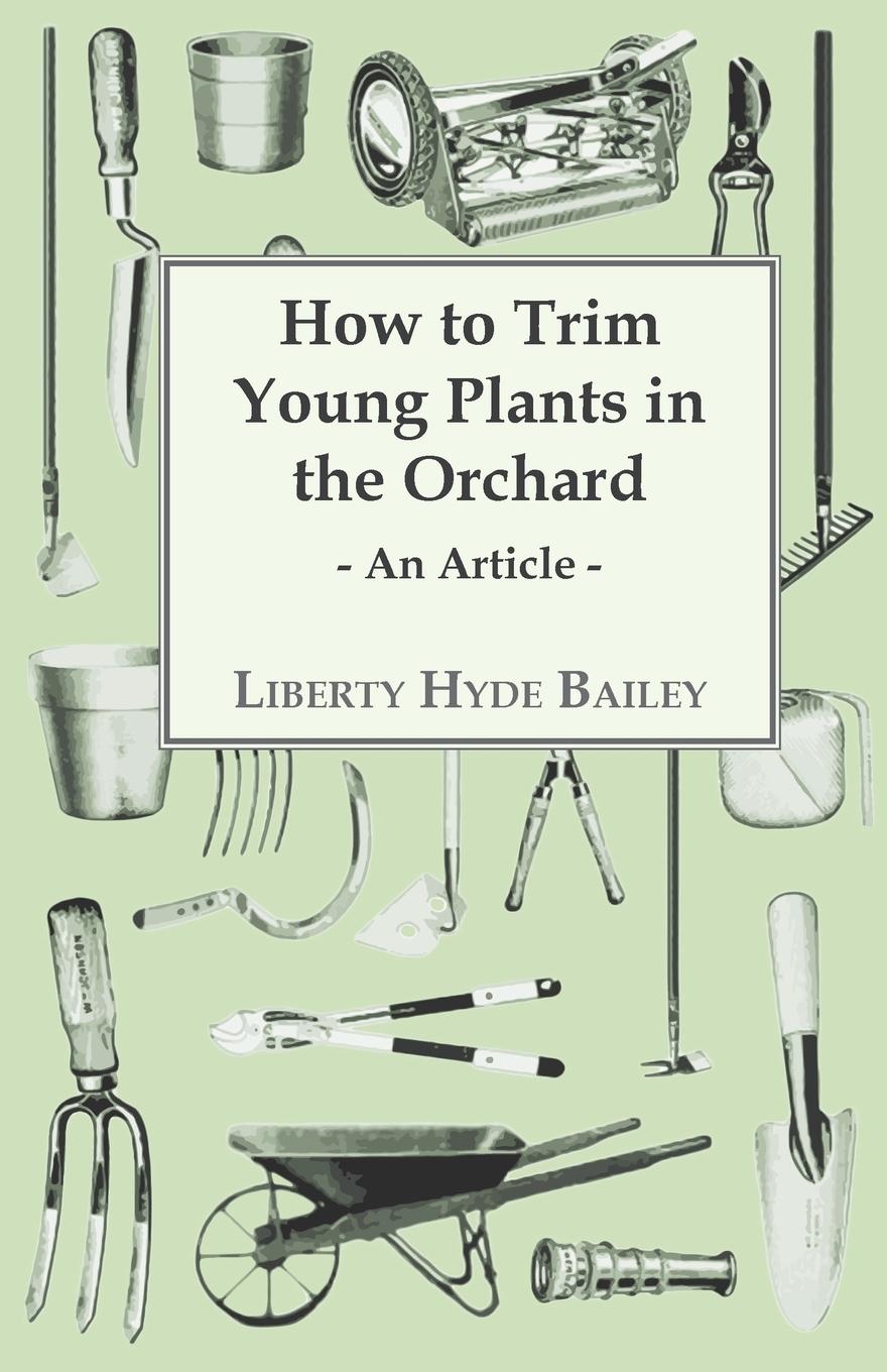 Vorderes Coverbild How to Trim Young Plants in the Orchard - An Article