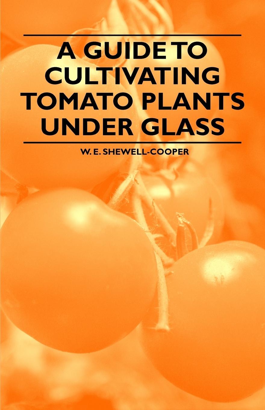 Vorderes Coverbild A Guide to Cultivating Tomato Plants Under Glass
