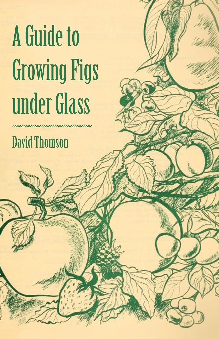 Vorderes Coverbild A Guide to Growing Figs Under Glass