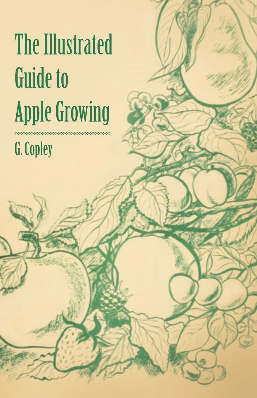 Vorderes Coverbild The Illustrated Guide to Apple Growing