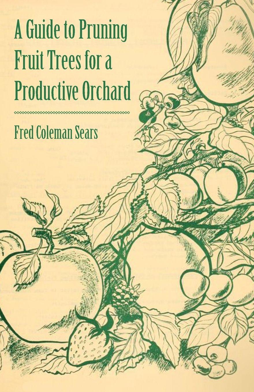 Vorderes Coverbild A Guide to Pruning Fruit Trees for a Productive Orchard