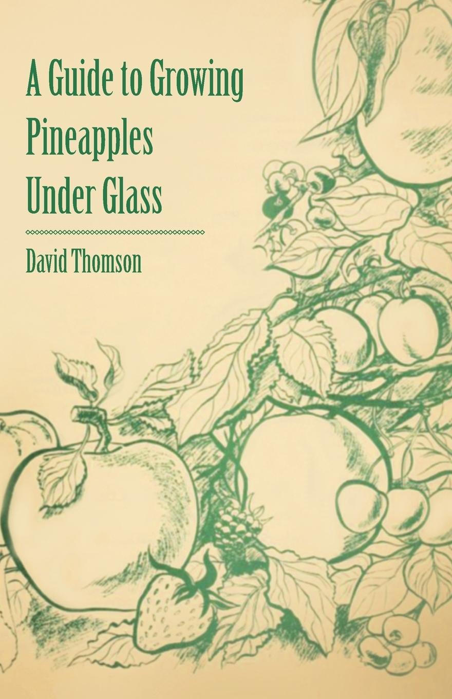 Vorderes Coverbild A Guide to Growing Pineapples under Glass