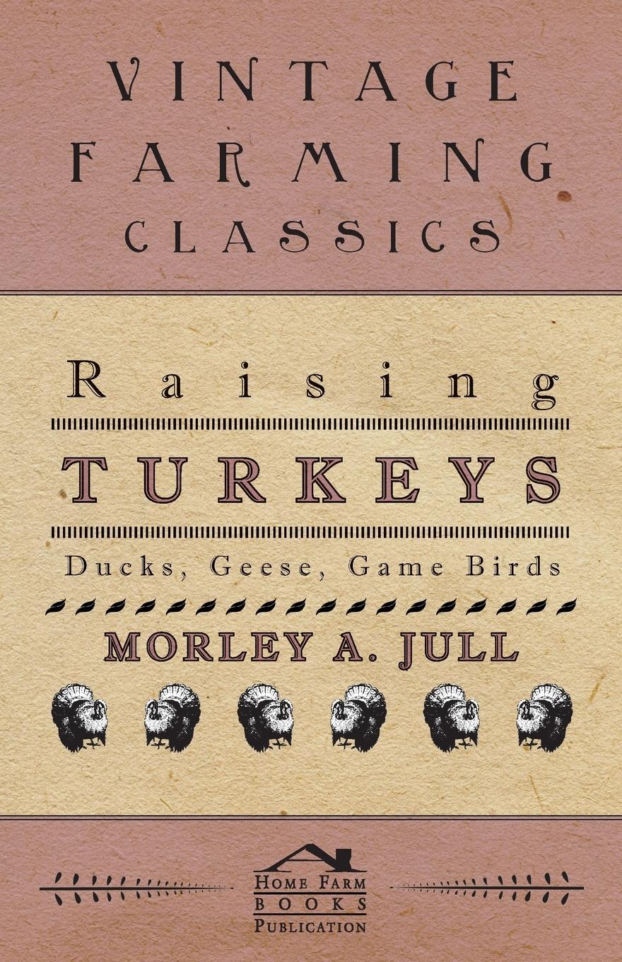 Vorderes Coverbild Raising Turkeys - Ducks, Geese, Game Birds