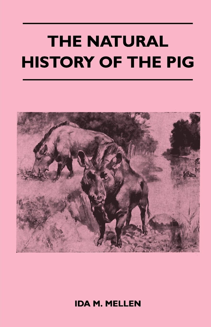 Vorderes Coverbild The Natural History of the Pig