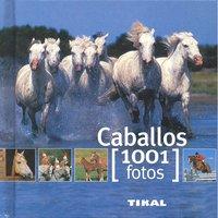 Vorderes Coverbild Caballos