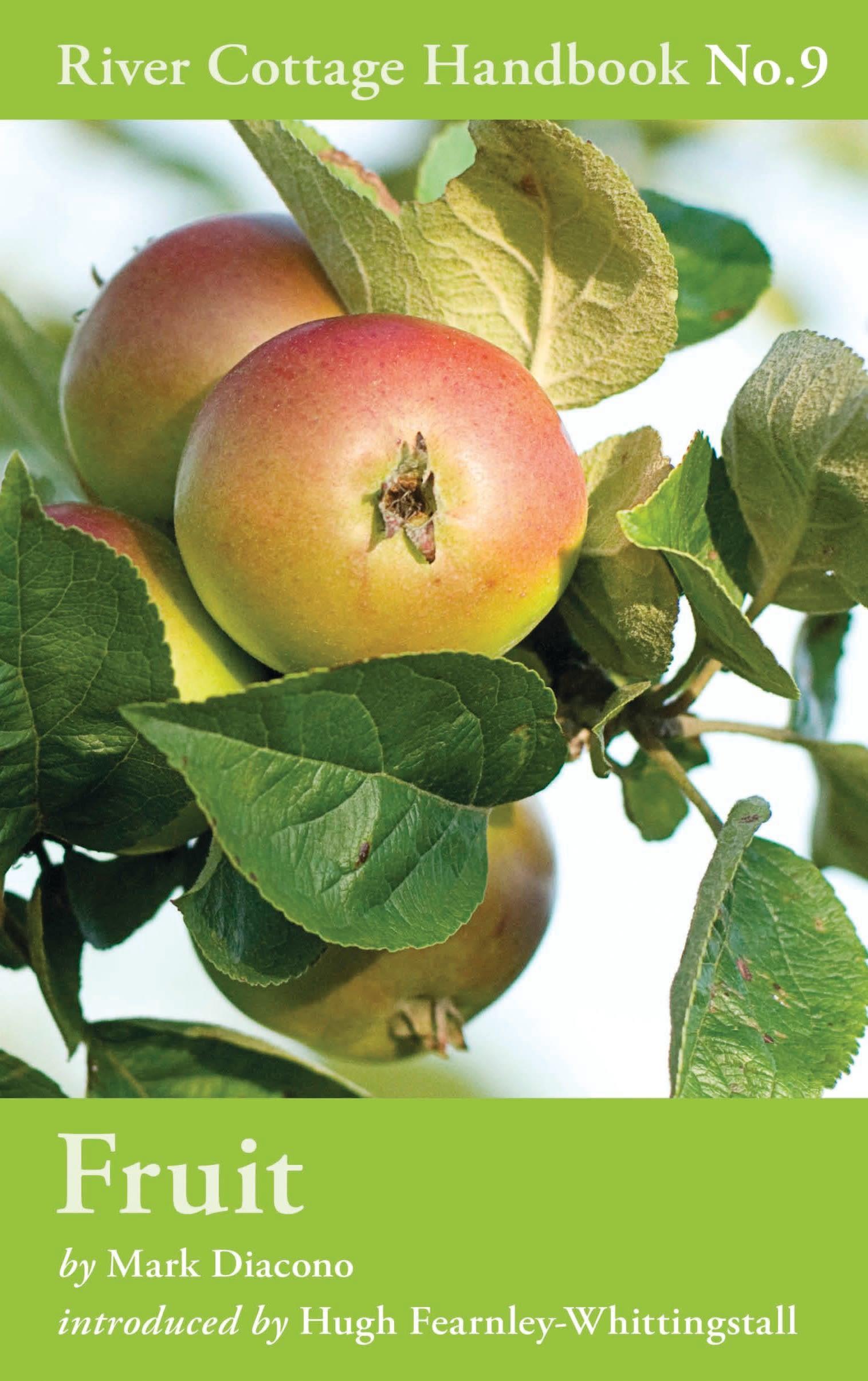 Vorderes Coverbild Fruit