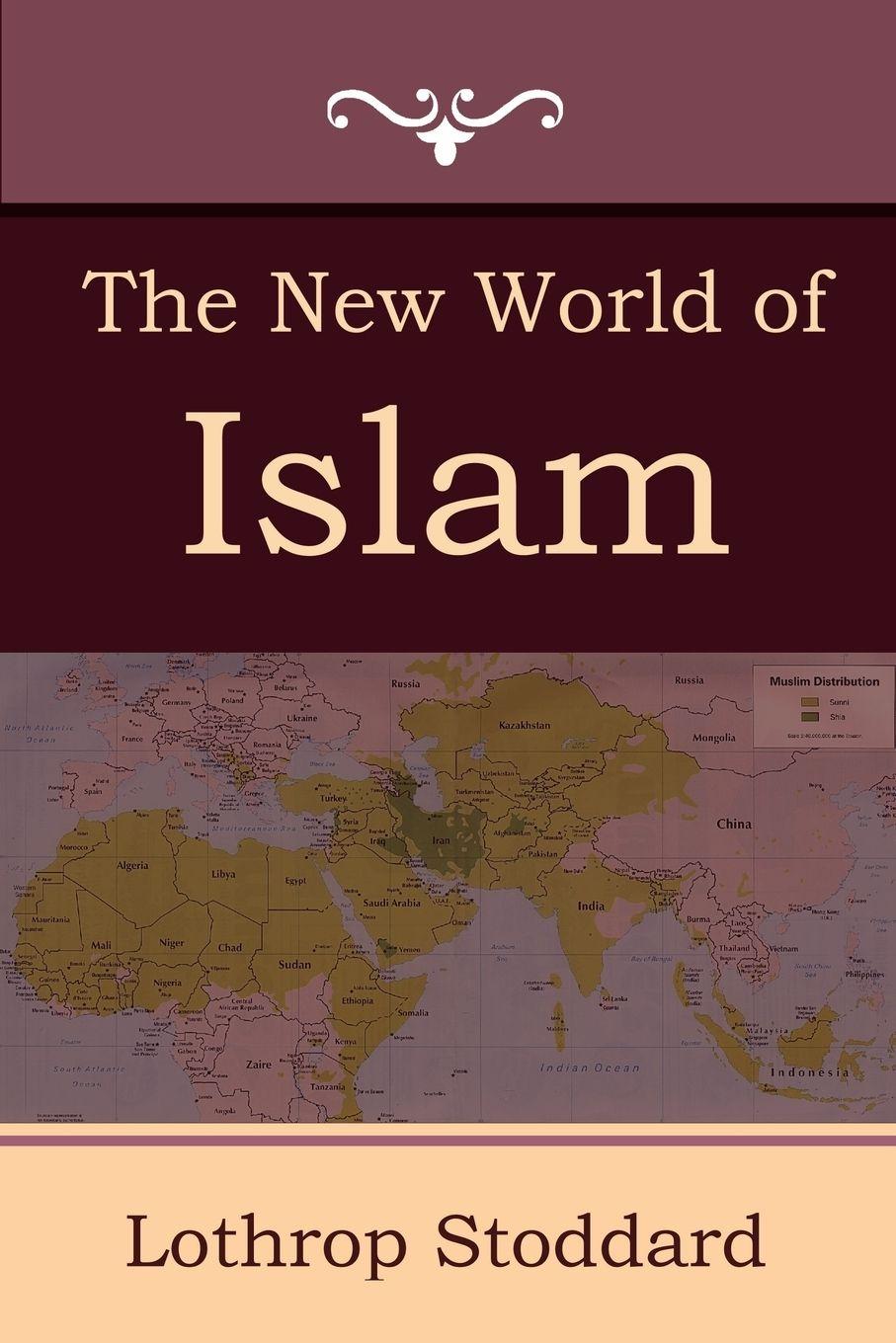 Vorderes Coverbild The New World of Islam