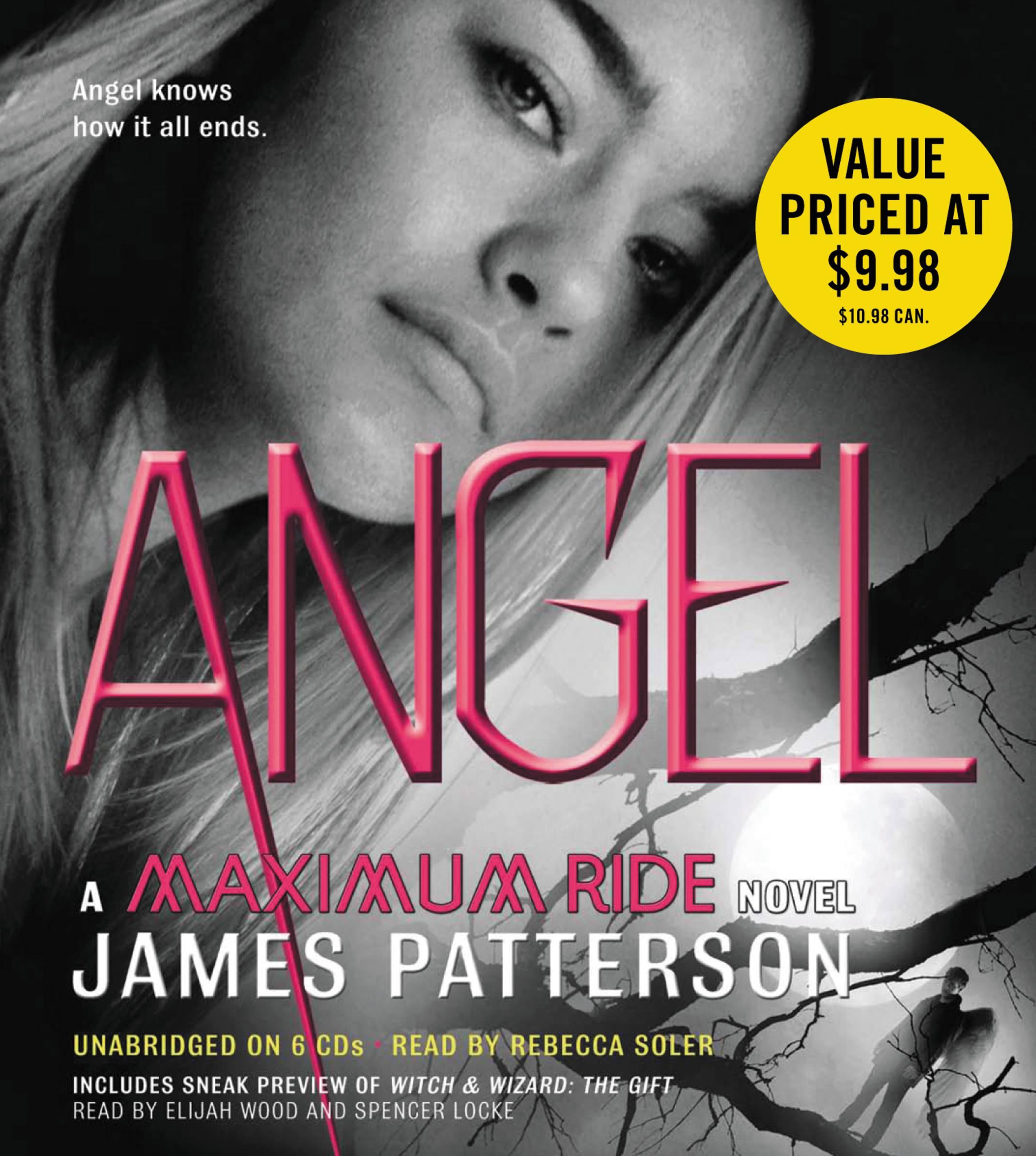 Vorderes Coverbild Angel