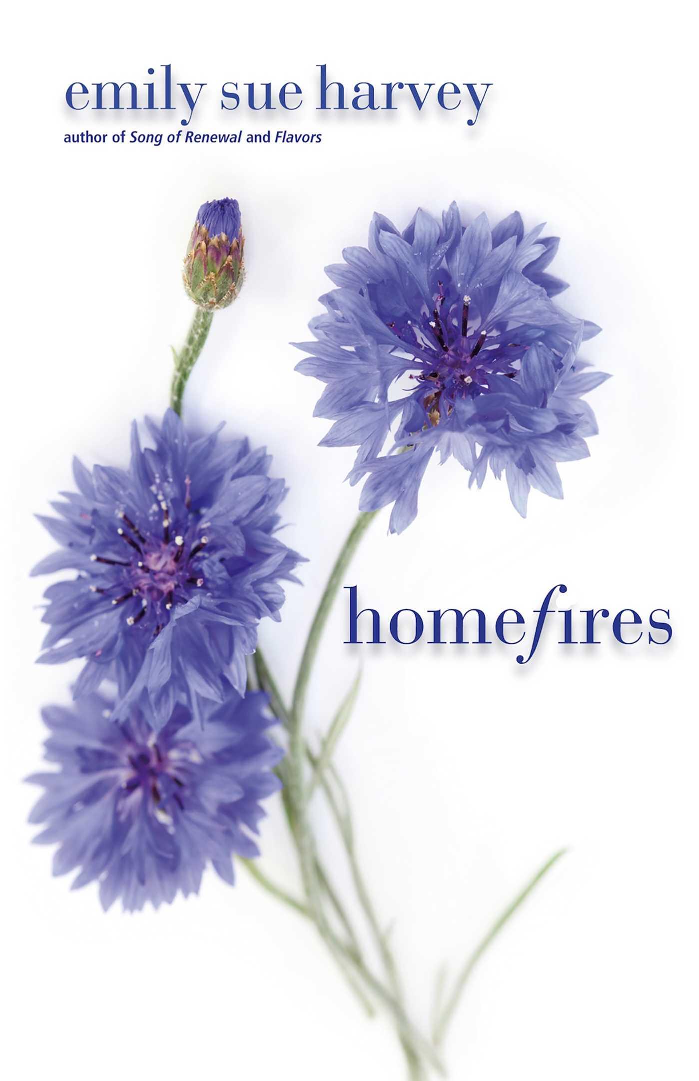 Vorderes Coverbild Homefires