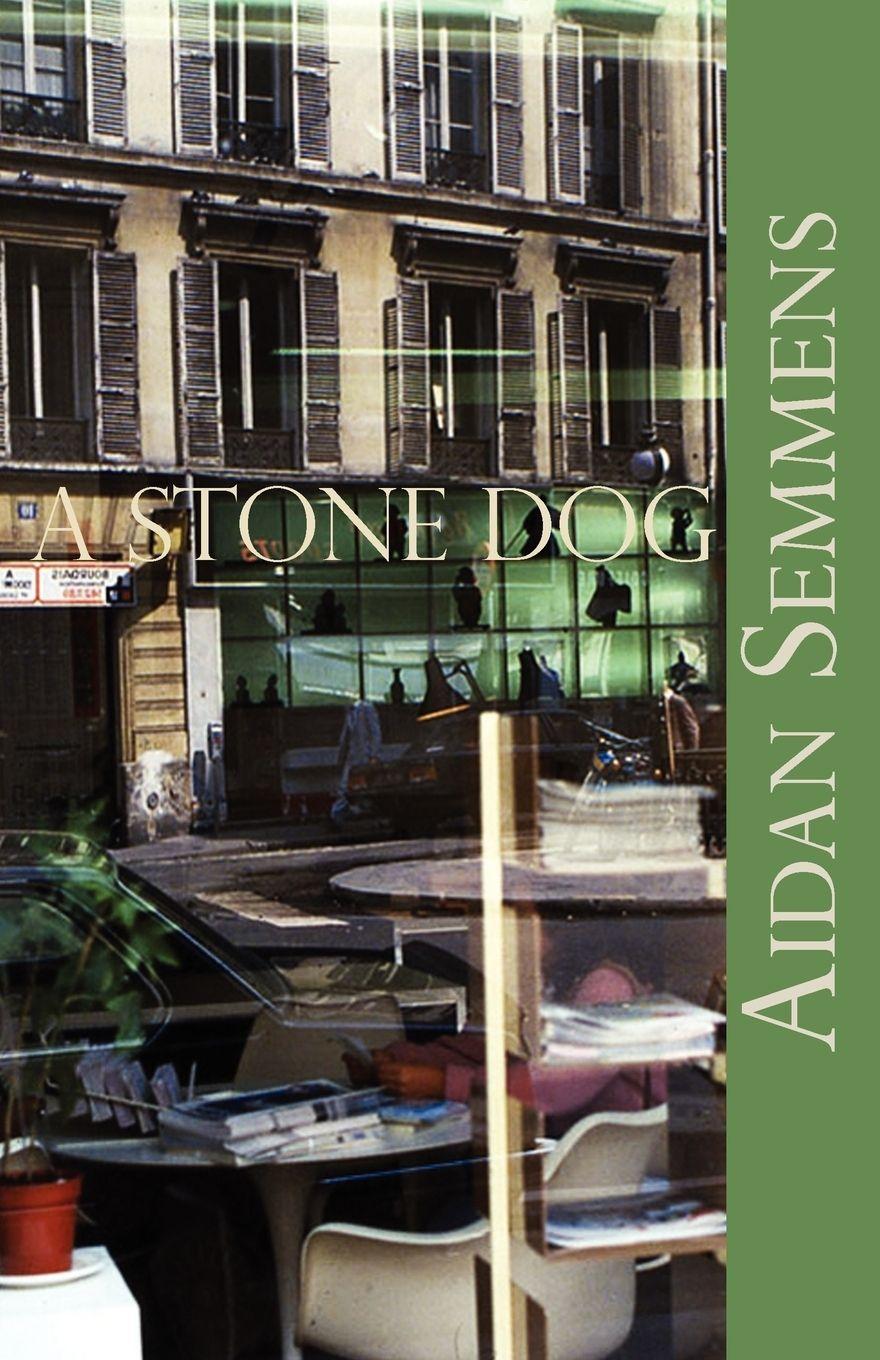 Vorderes Coverbild A Stone Dog