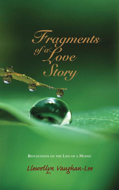 Vorderes Coverbild Fragments of a Love Story