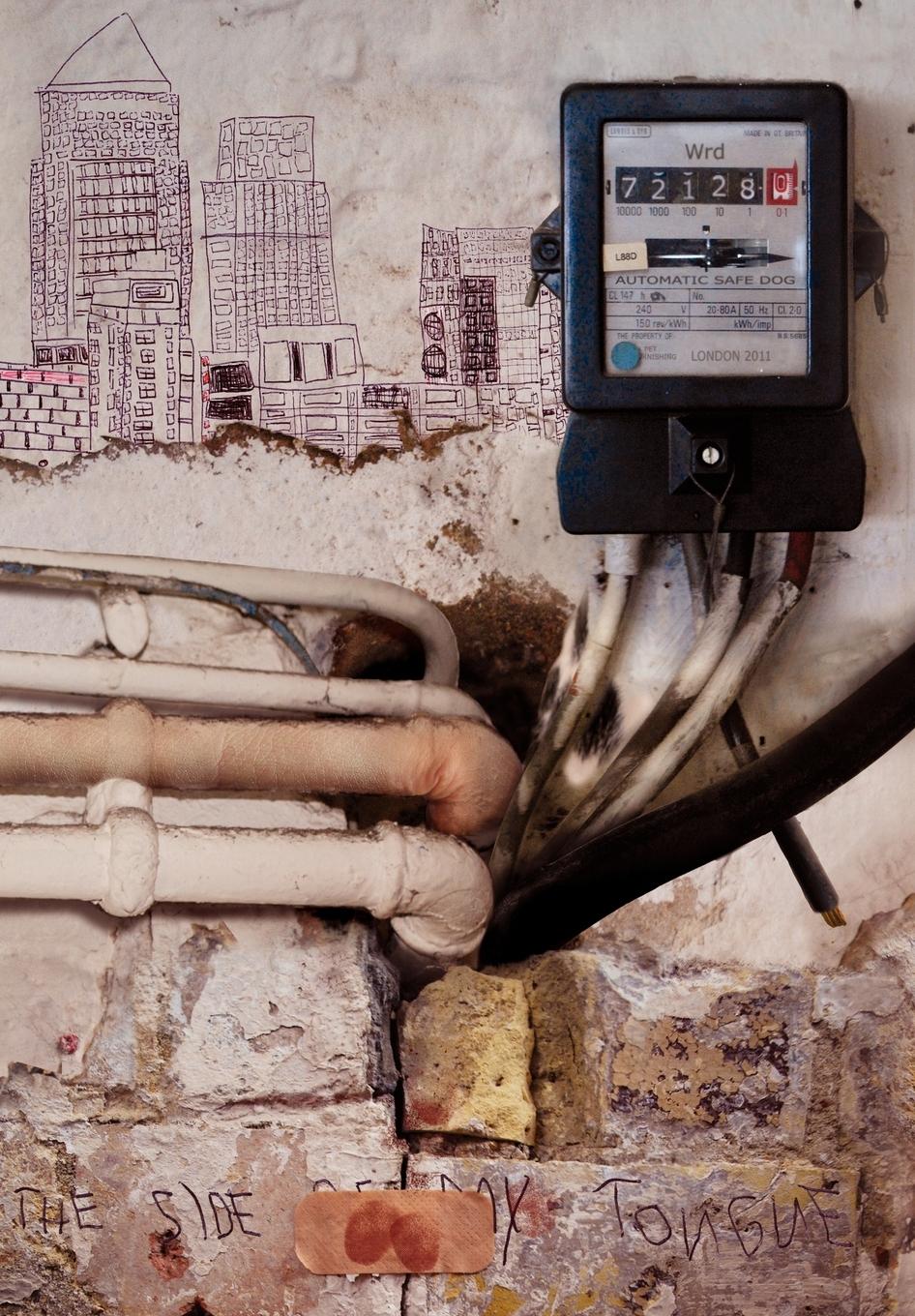 Vorderes Coverbild Automatic Safe Dog