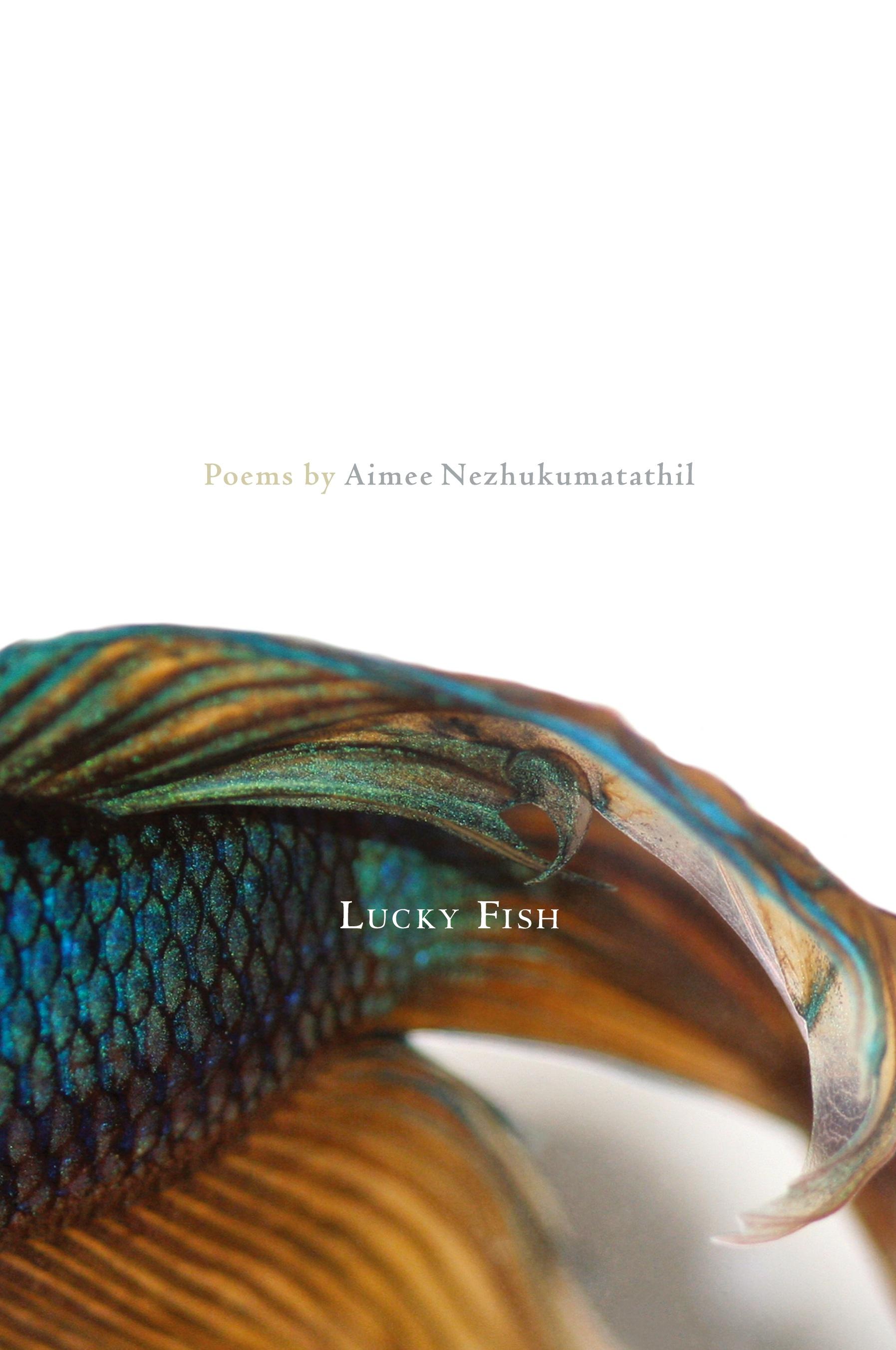 Vorderes Coverbild Lucky Fish