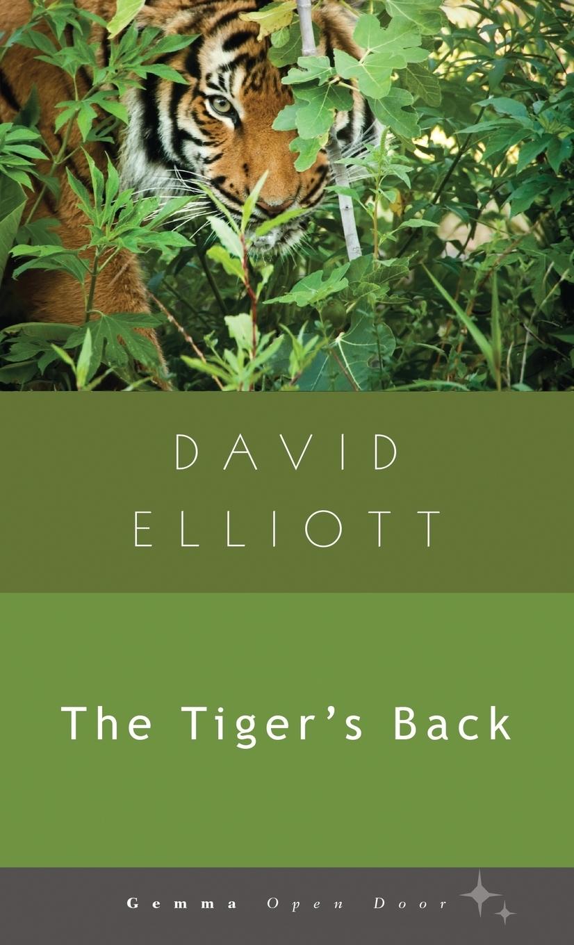 Vorderes Coverbild The Tiger's Back