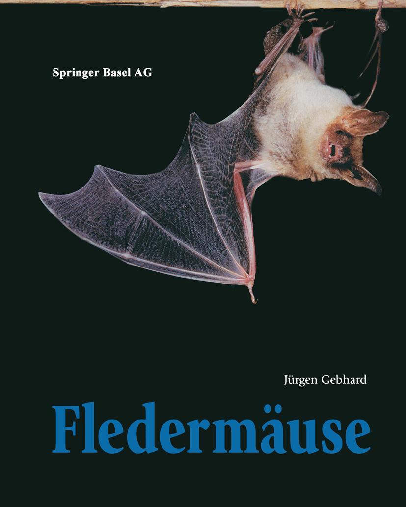 Vorderes Coverbild Fledermäuse