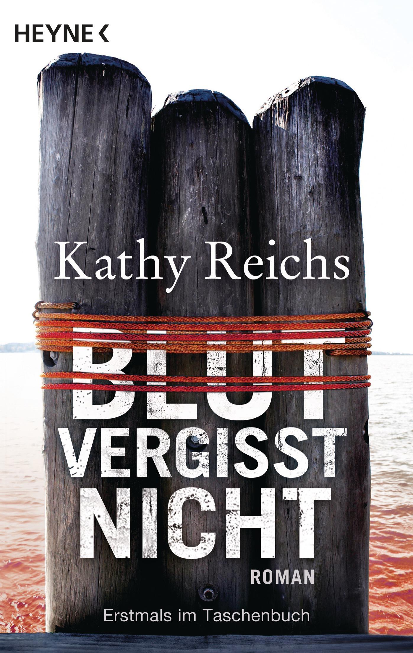 Vorderes Coverbild Blut vergisst nicht