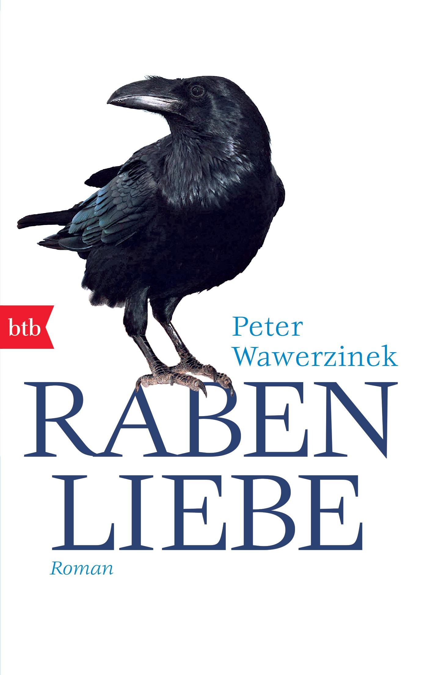 Vorderes Coverbild Rabenliebe