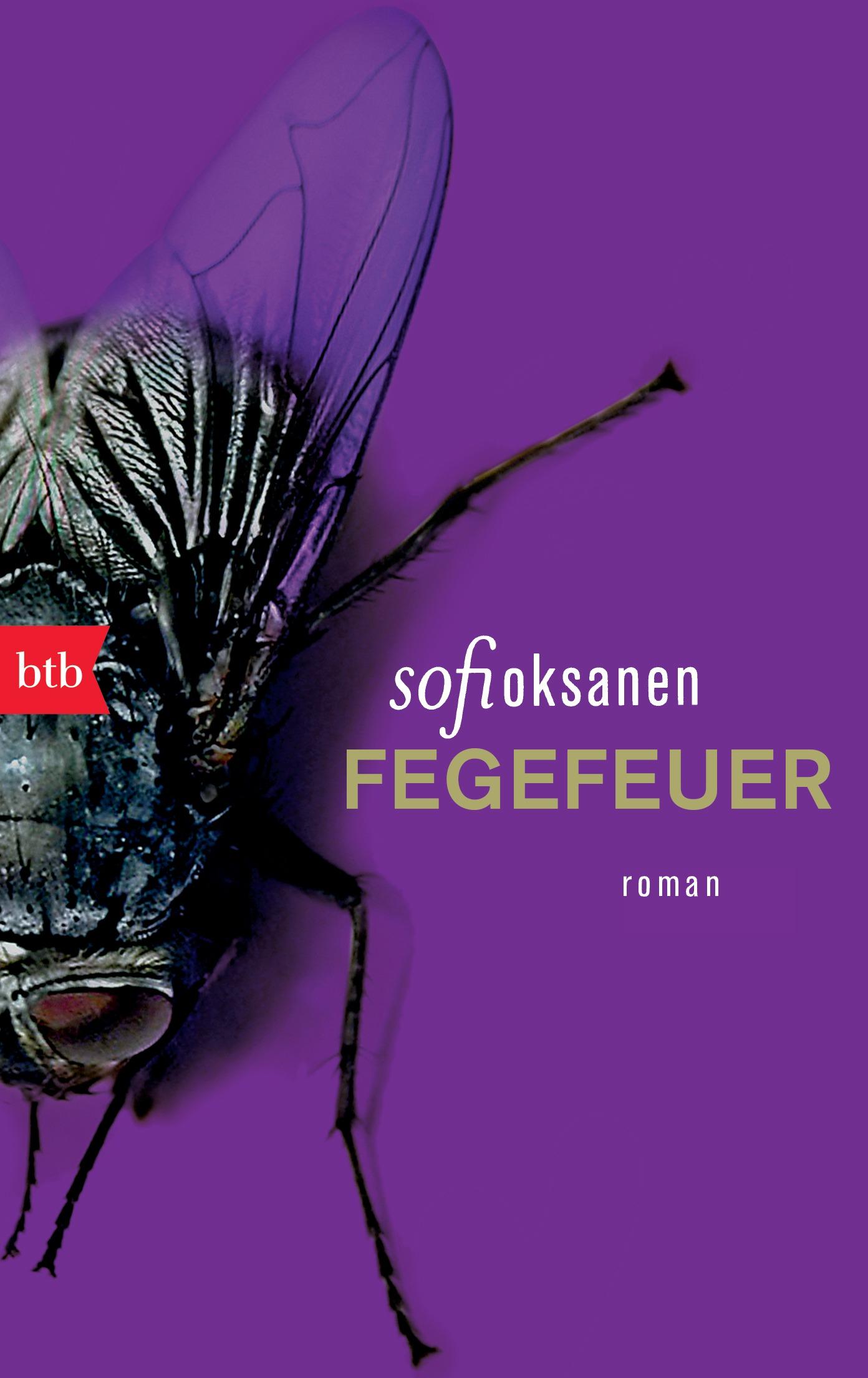 Vorderes Coverbild Fegefeuer