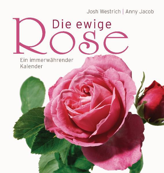 Vorderes Coverbild Die ewige Rose