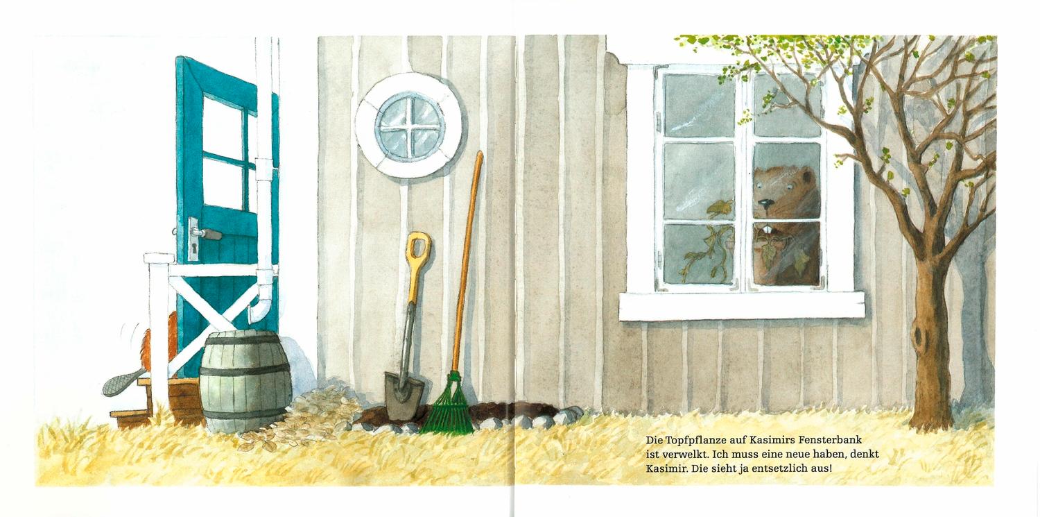 Beispielinhalt (Bild) Kasimir pflanzt weiße Bohnen