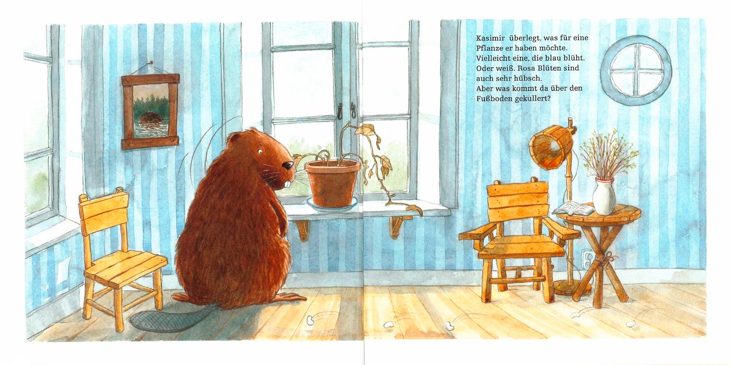 Beispielinhalt (Bild) Kasimir pflanzt weiße Bohnen