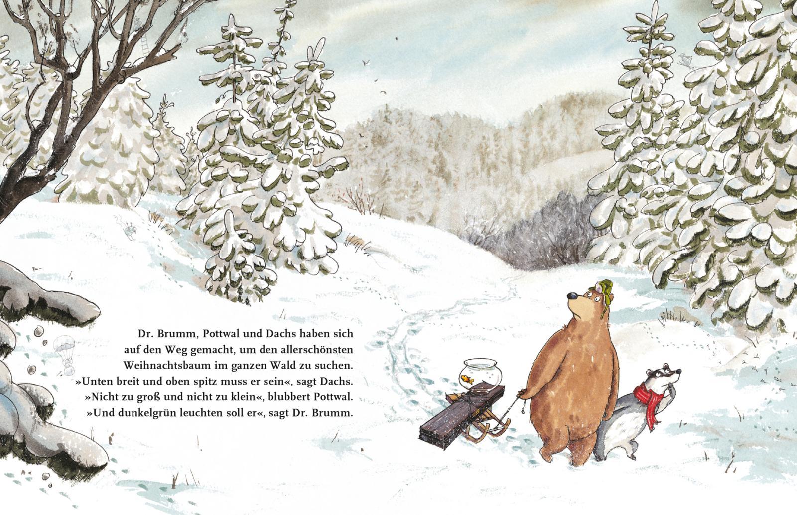 Beispielinhalt (Bild) Dr. Brumm feiert Weihnachten (Mini)