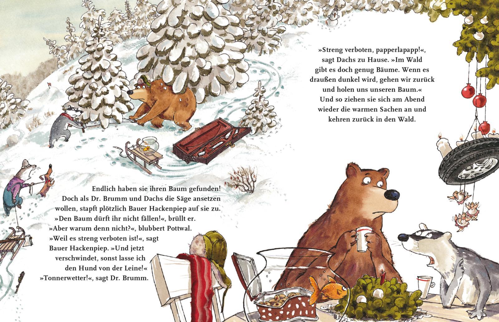 Beispielinhalt (Bild) Dr. Brumm feiert Weihnachten (Mini)