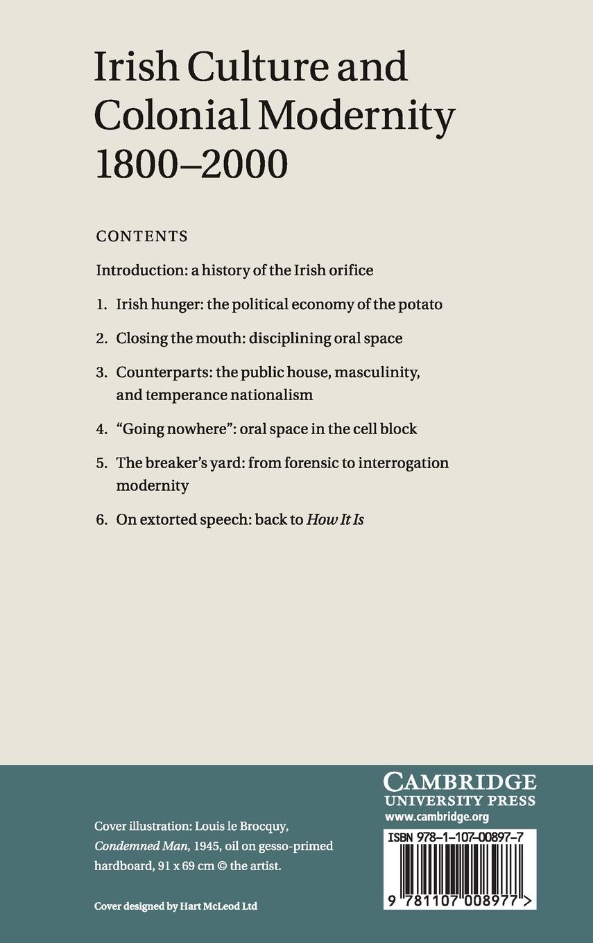 Rückseitencover Irish Culture and Colonial Modernity 1800-2000