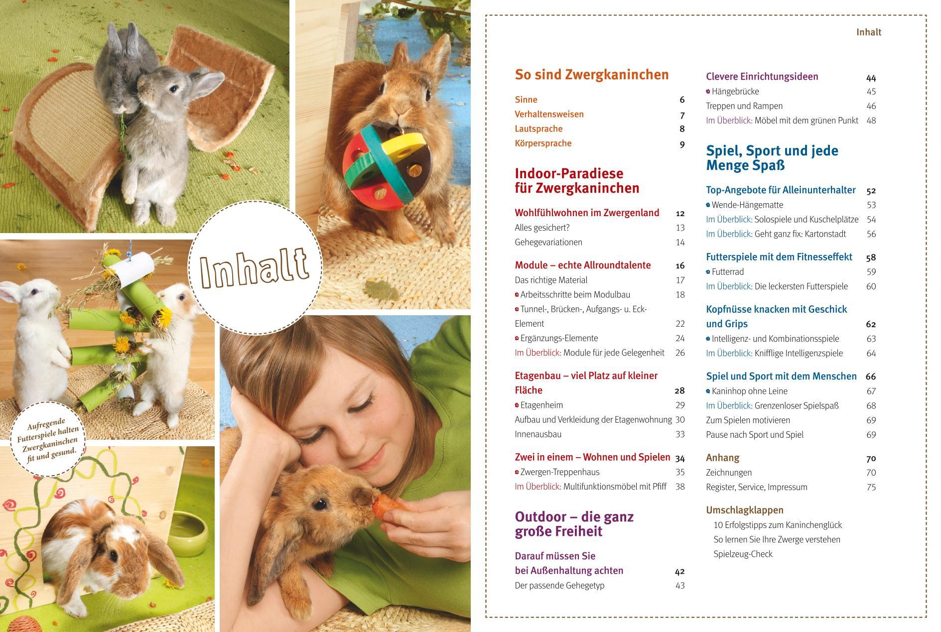 Beispielinhalt (Bild) Spiel- und Wohnideen für Zwergkaninchen