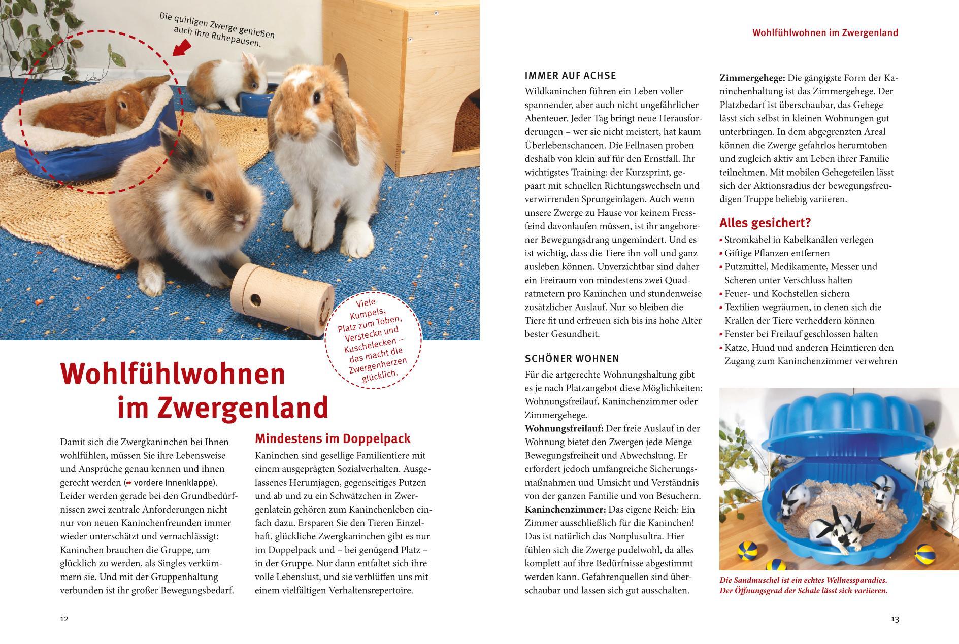 Beispielinhalt (Bild) Spiel- und Wohnideen für Zwergkaninchen