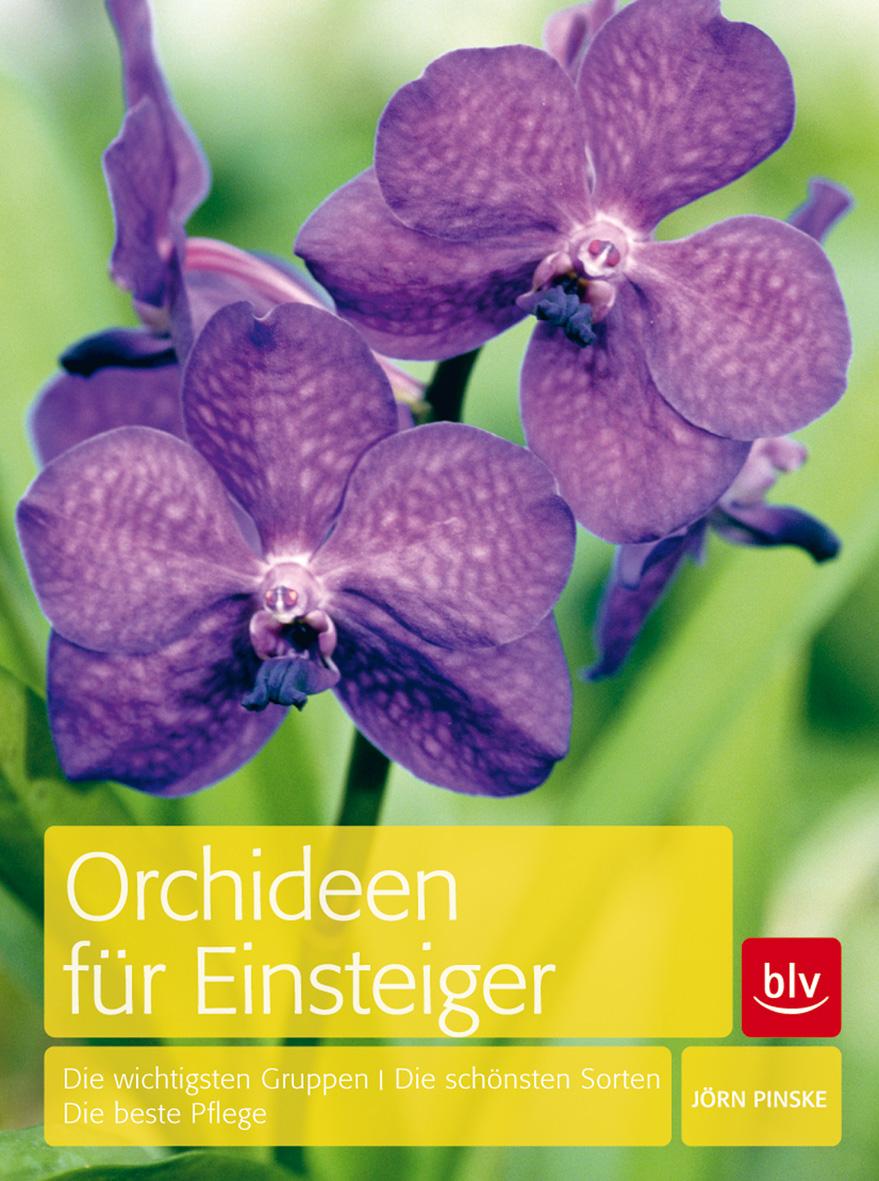 Vorderes Coverbild Orchideen für Einsteiger
