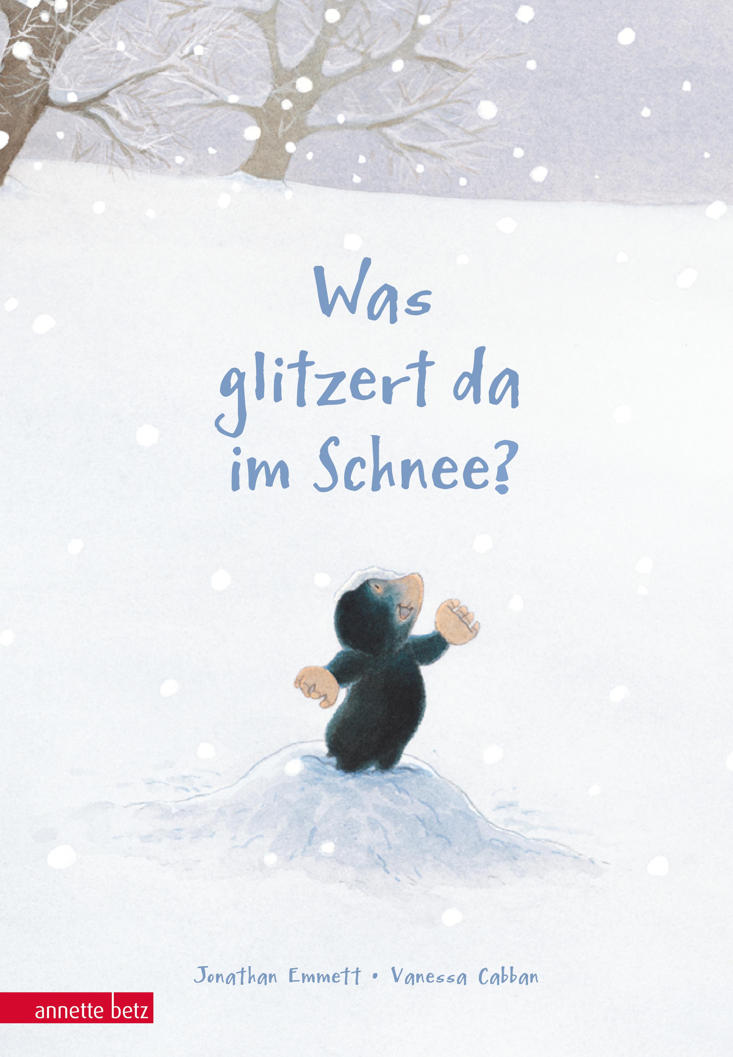Vorderes Coverbild Was glitzert da im Schnee?