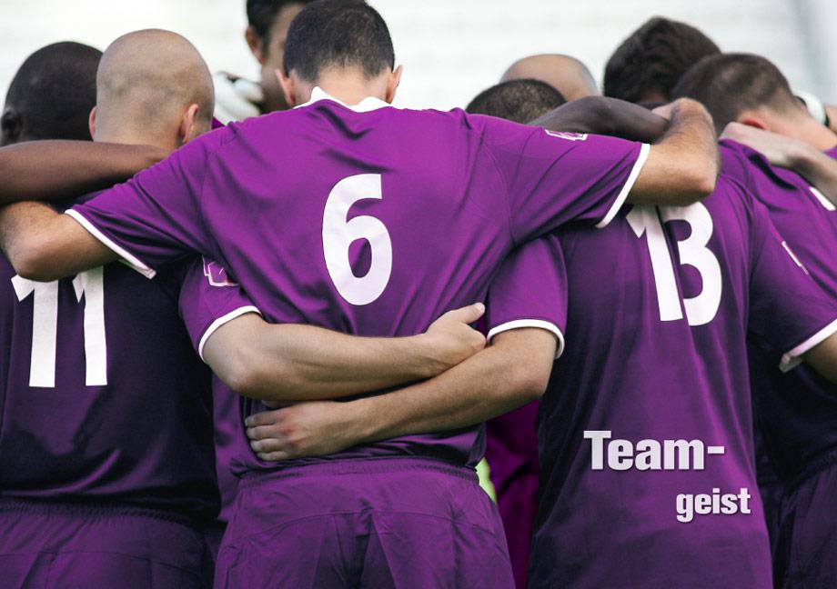 Beispielinhalt (Bild) Mentales Training im Leistungssport