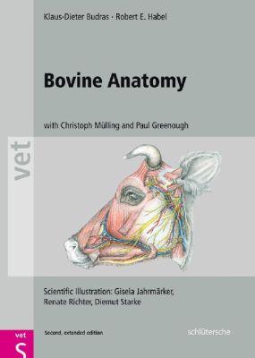 Vorderes Coverbild Bovine Anatomy