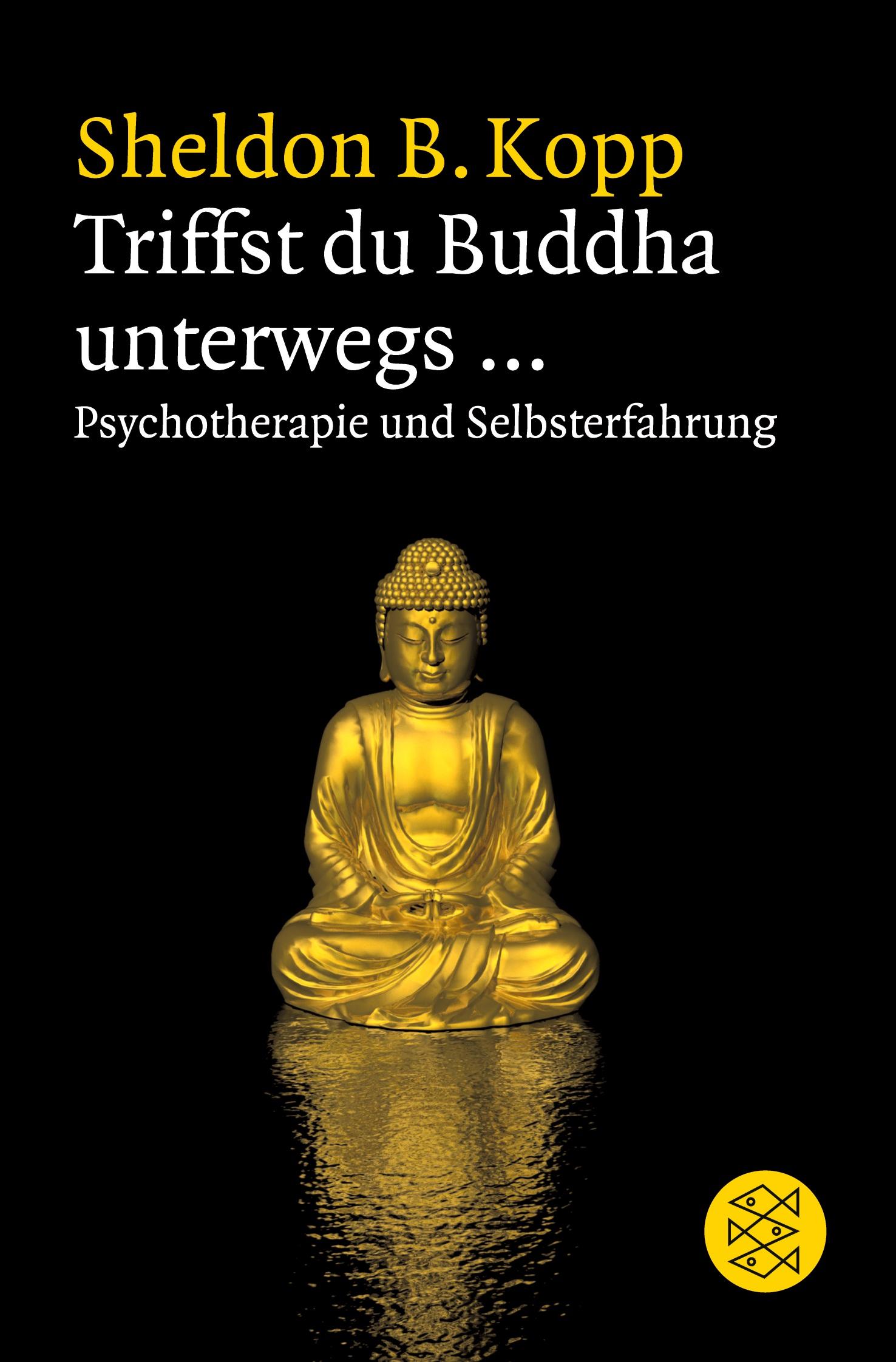 Vorderes Coverbild Triffst du Buddha unterwegs...