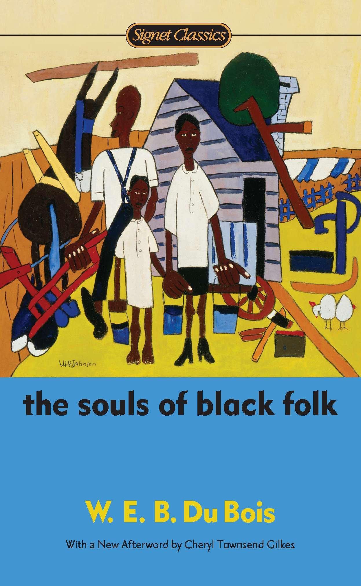 Vorderes Coverbild The Souls of Black Folk
