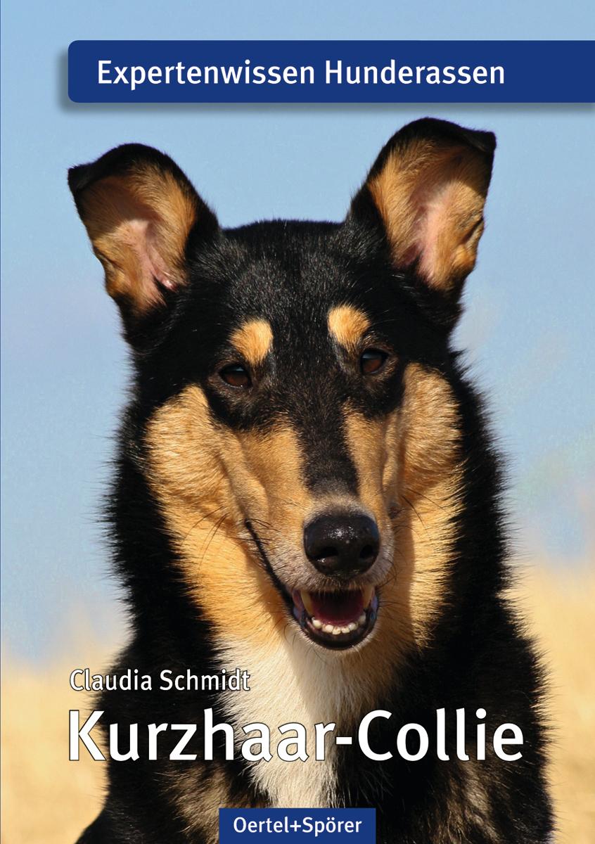 Vorderes Coverbild Kurzhaar-Collie