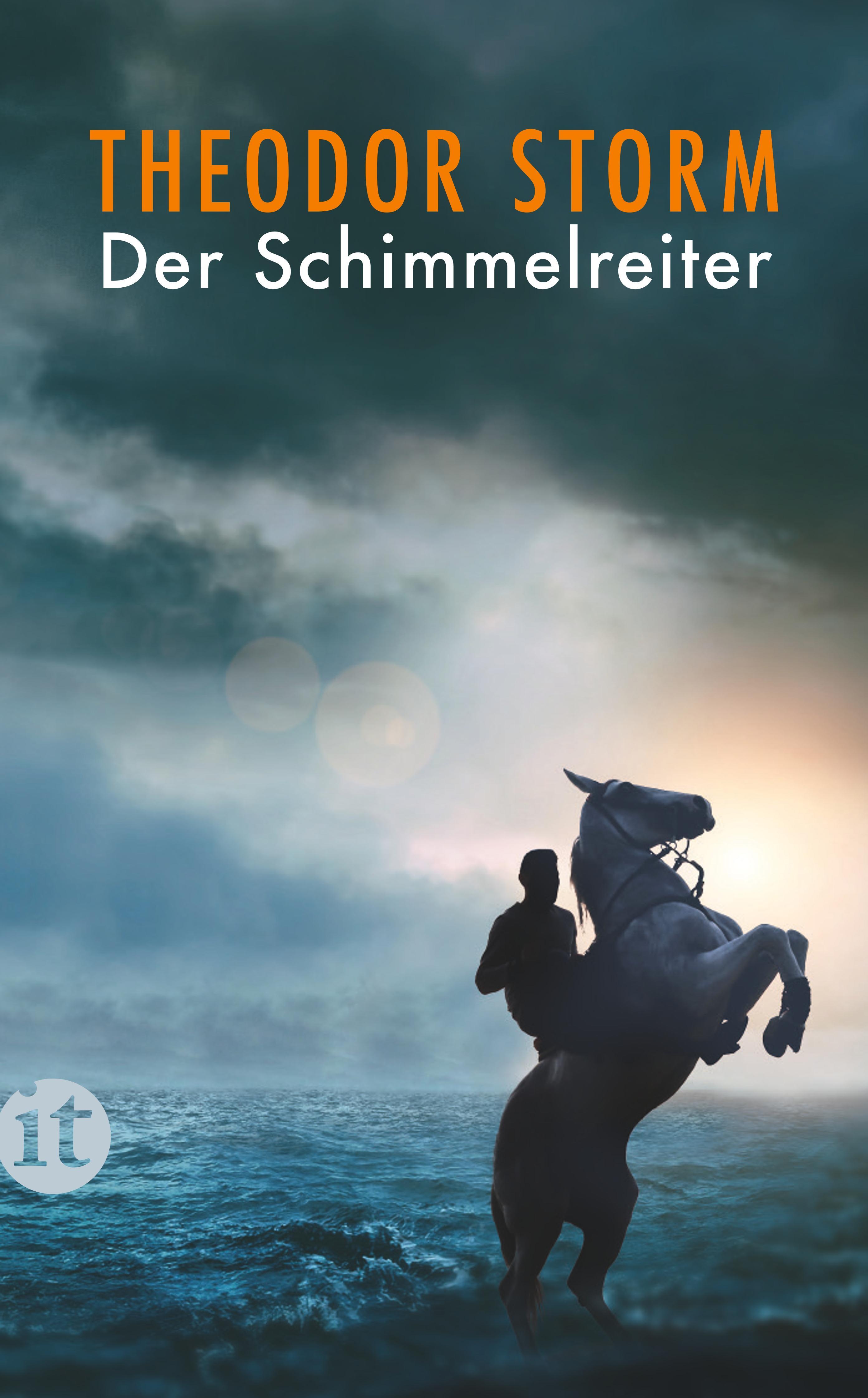 Vorderes Coverbild Der Schimmelreiter
