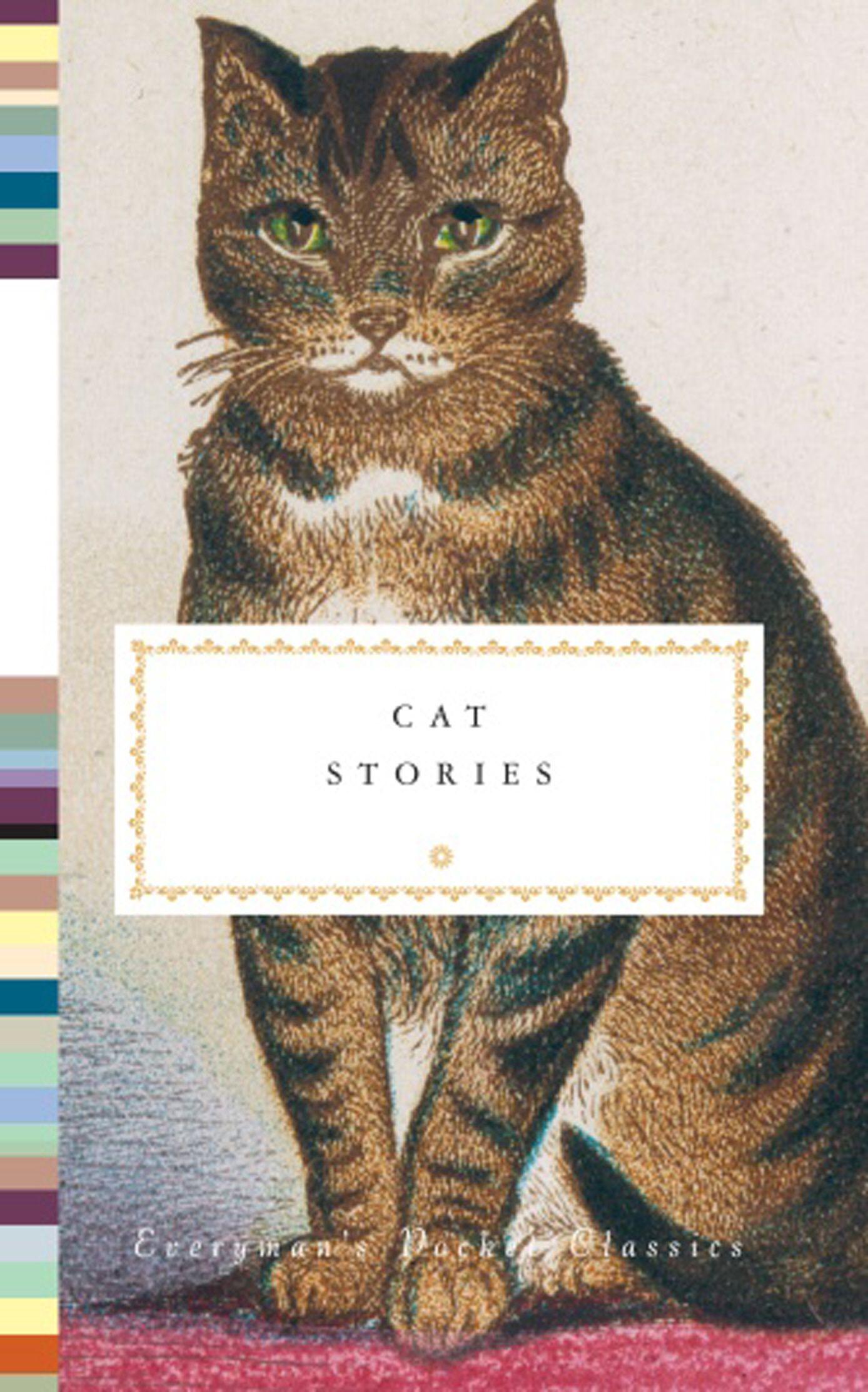 Vorderes Coverbild Cat Stories