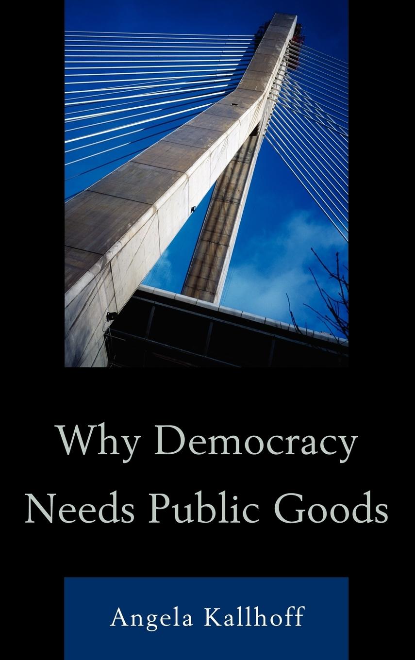 Vorderes Coverbild Why Democracy Needs Public Goods
