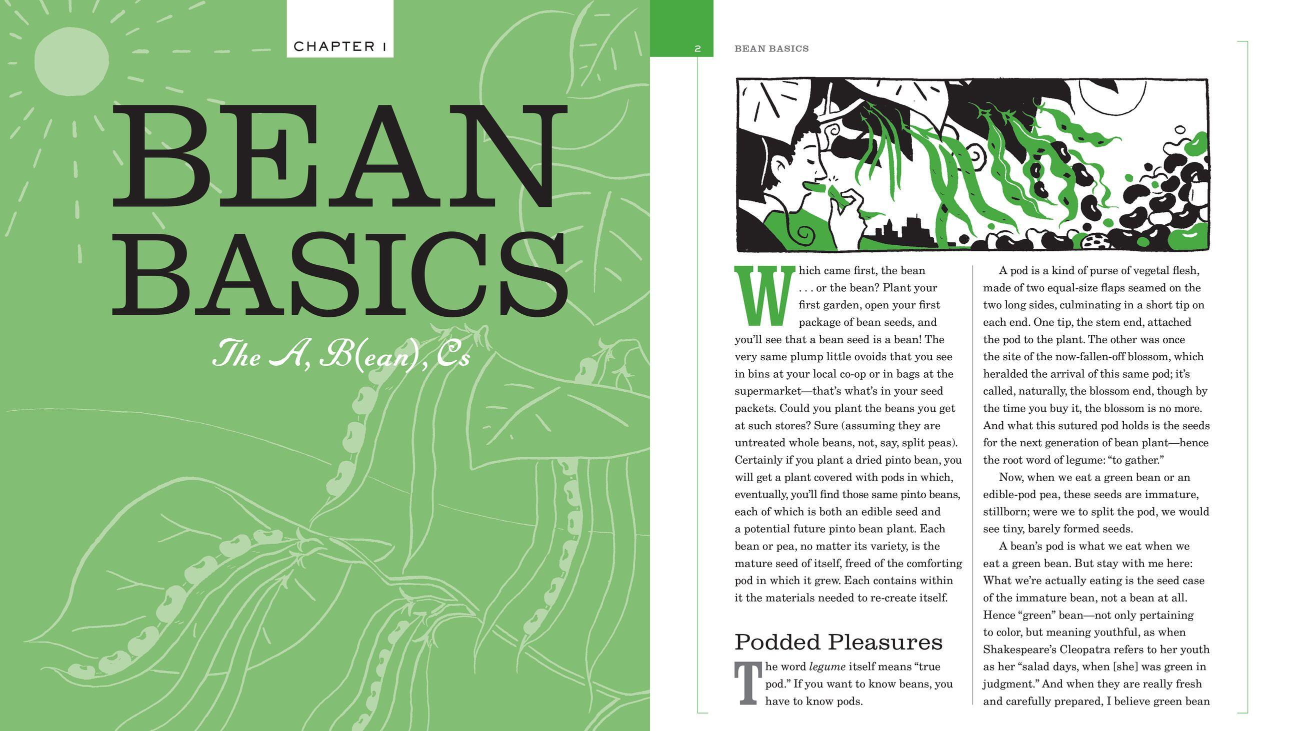 Beispielinhalt (Bild) Bean by Bean: A Cookbook