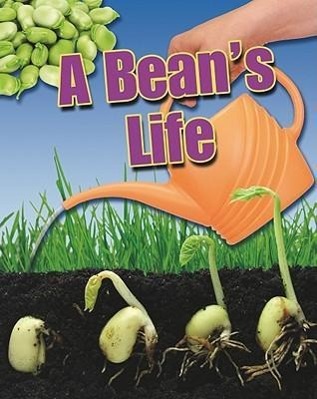 Vorderes Coverbild A Bean's Life