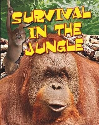 Vorderes Coverbild Survival in the Jungle